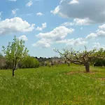 Дом отдыха Trulli Da Rosy *