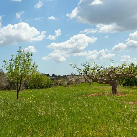 Сasa de vacaciones Trulli Da Rosy *